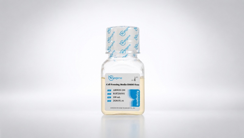 Cell Freezing Media-Serum Free : Reliable Cryopreservation for Common Cell Lines (CHO-K1, 293T, A549)