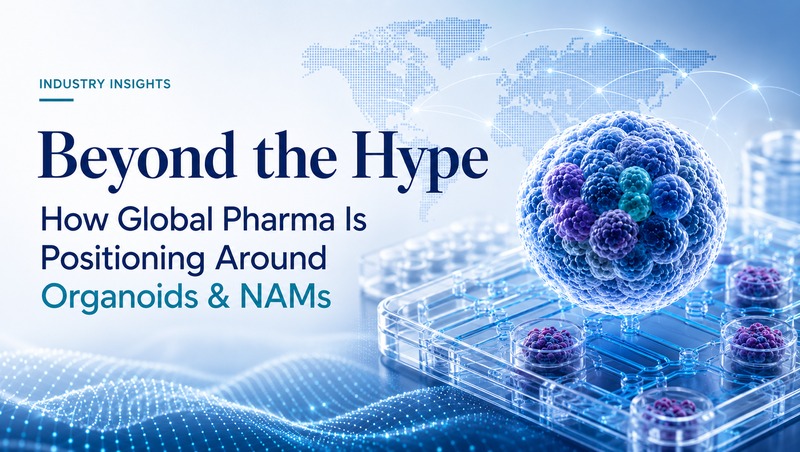 Beyond the Hype: How Global Pharma Is Strategically Positioning Around Organoids and New Approach Methodologies (NAMs)