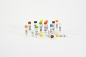 Elevate Your In Vitro Metabolism Studies with Intestine Microsomes