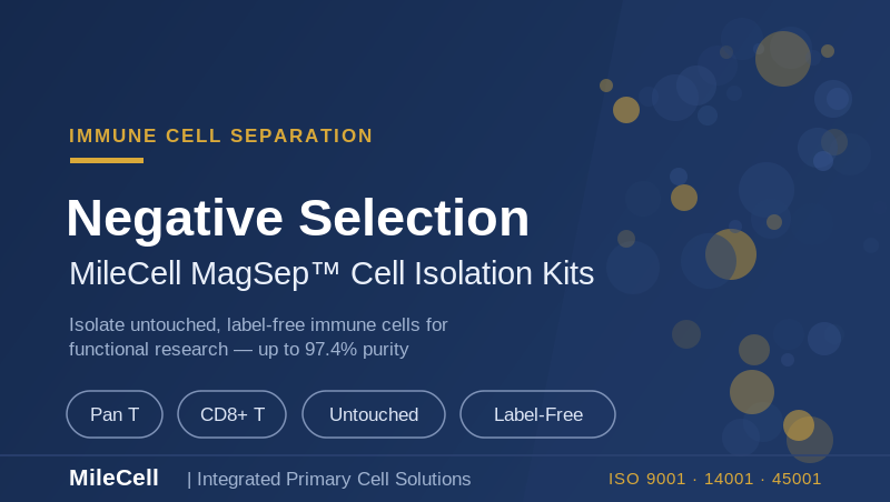 Negative Selection Cell Isolation Kits: Untouched, Label-Free Immune Cells for Functional Research