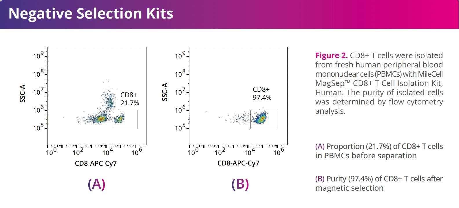 cd8-t-cell-negative-selection-purity-flow.jpg