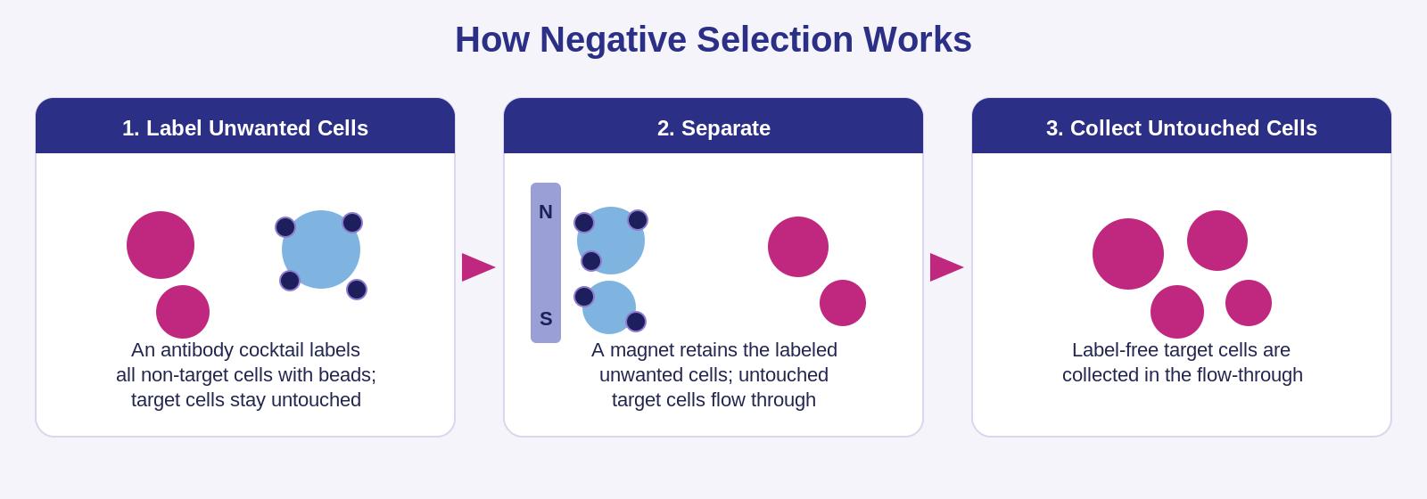 negative-selection-cell-isolation-mechanism.jpg