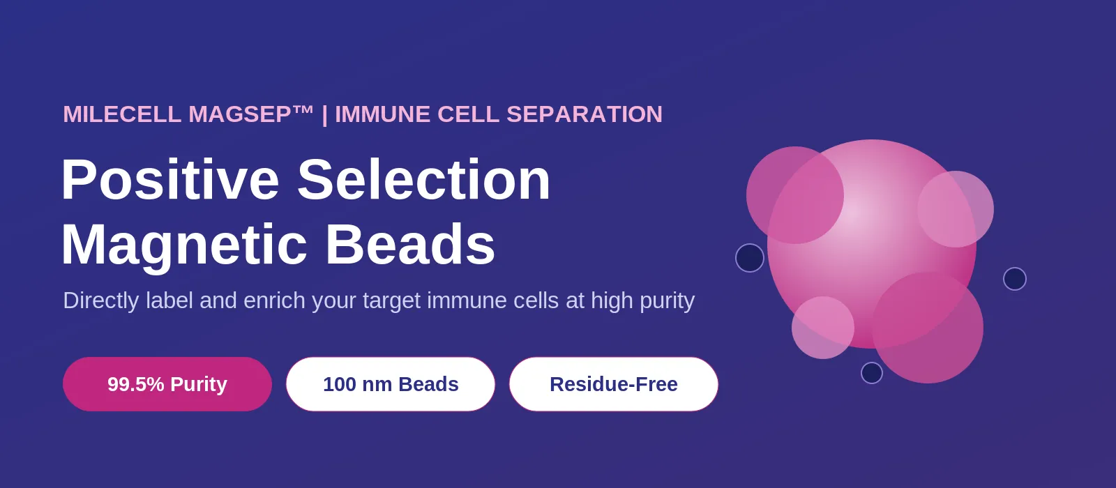 Magnetic Cell Separation.webp