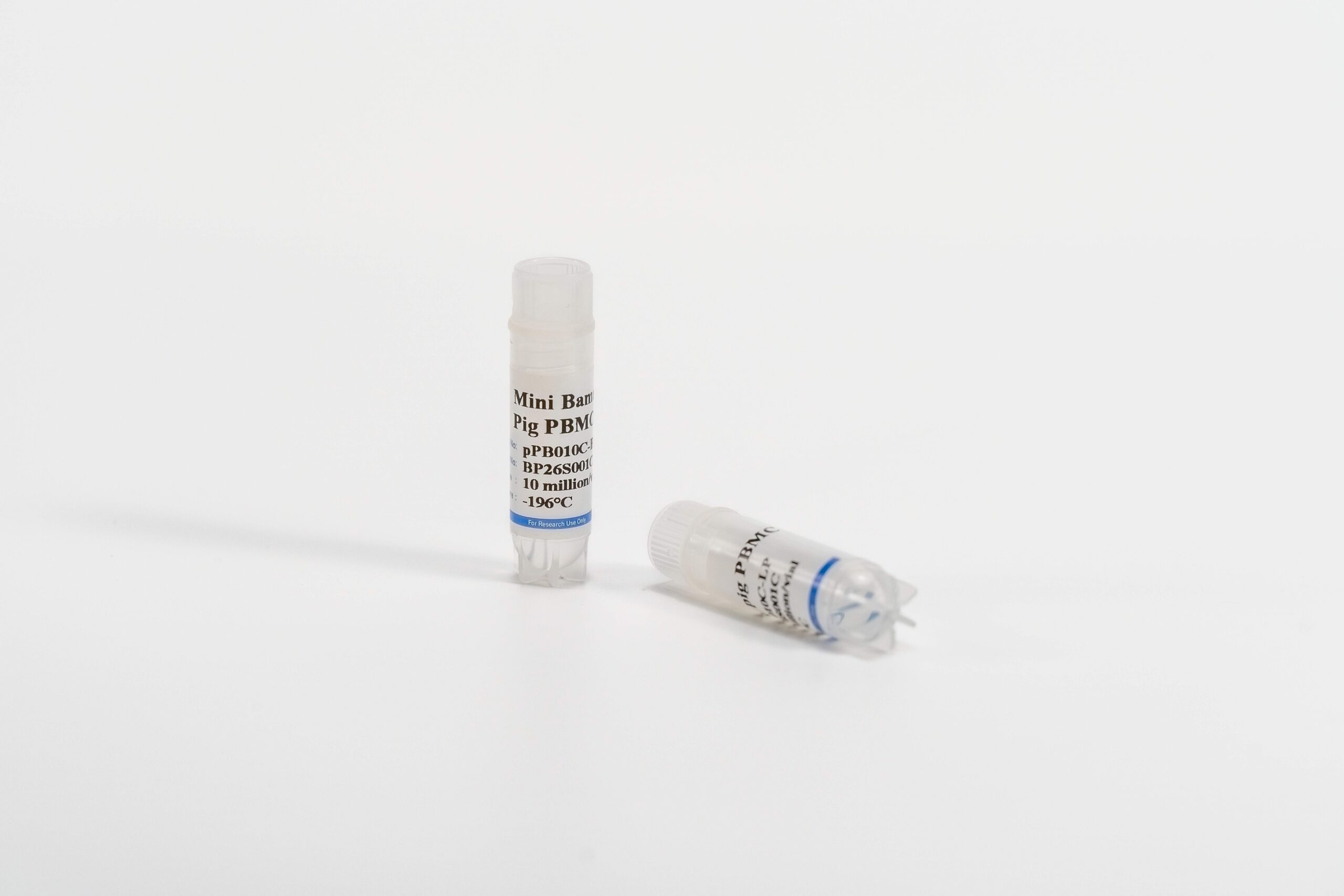 Why Use Pig PBMCs?