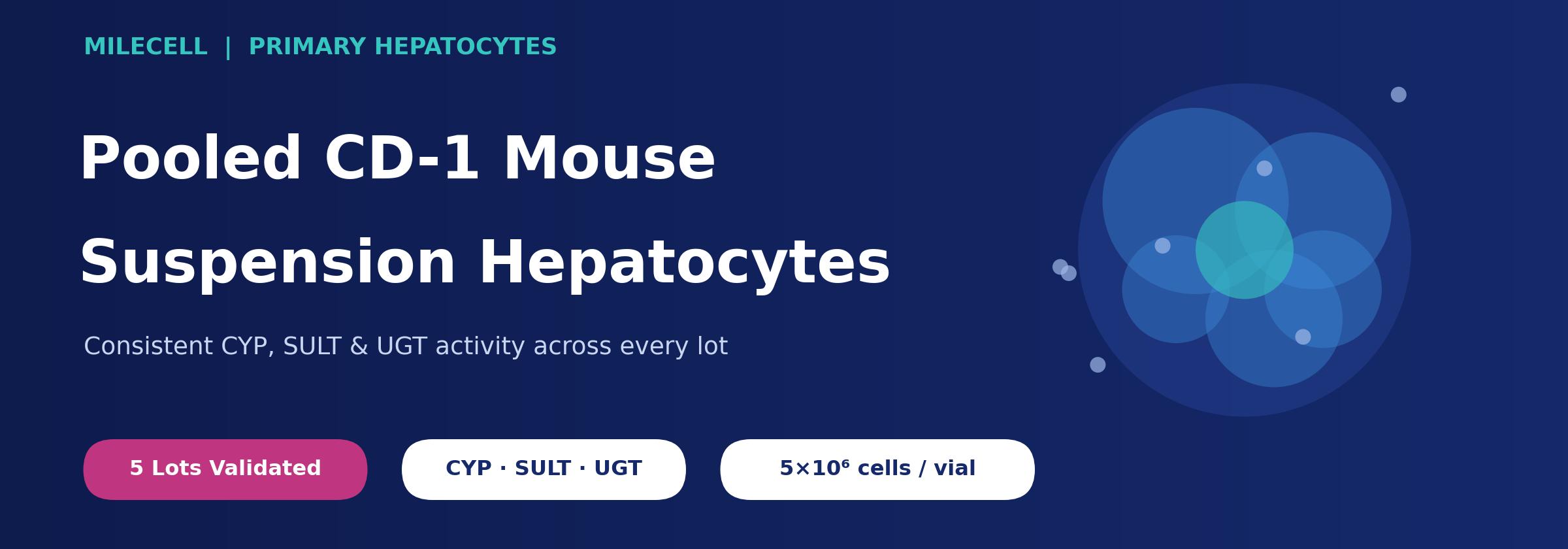pooled-cd-1-mouse-suspension-hepatocytes-banner.jpg
