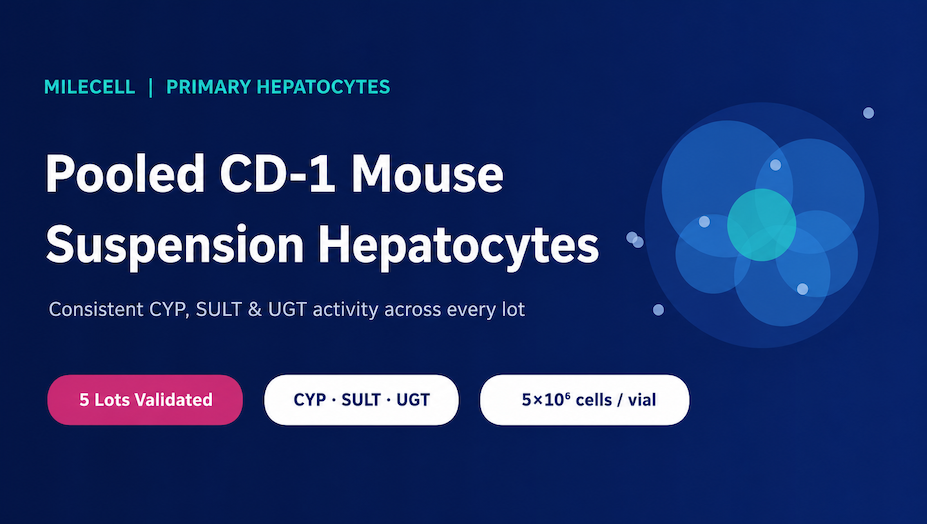 5 Ways Pooled CD-1 Mouse Suspension Hepatocytes Deliver Consistent CYP, SULT & UGT Activity Across Lots