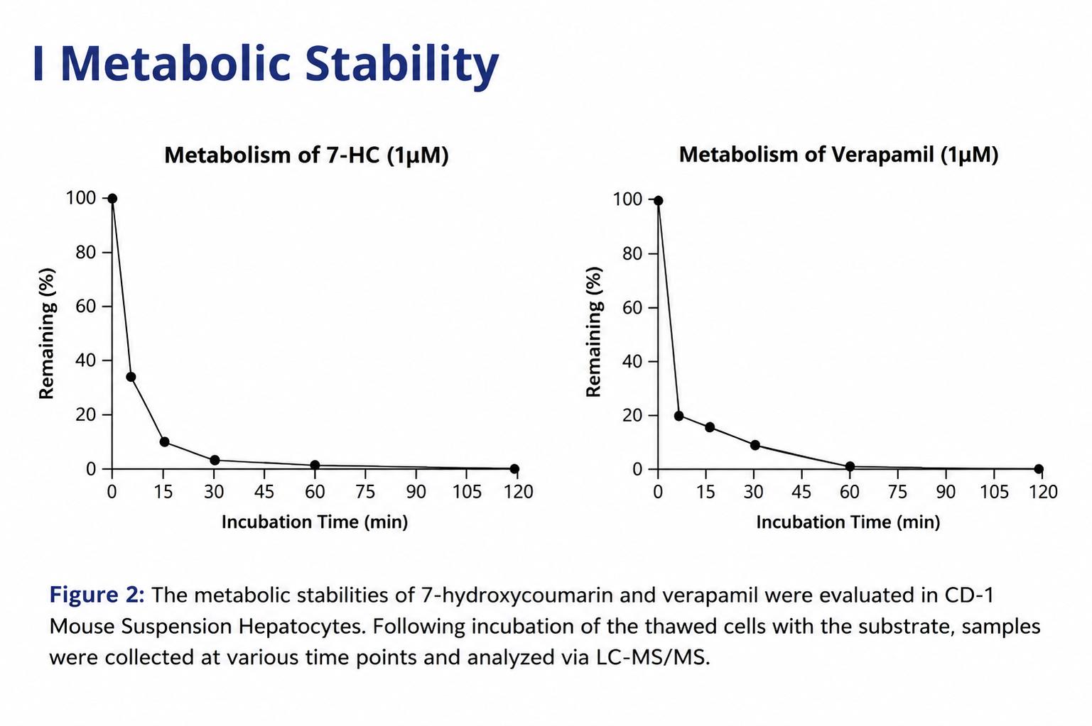 Metabolic stability of 7-hydroxycoumarin and verapamil in CD-1 mouse suspension hepatocytes
