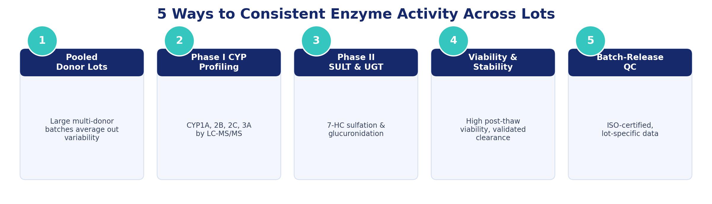 5-key-ways-consistent-enzyme-activity-cd1-mouse-hepatocytes.jpg