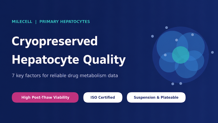 7 Key Factors That Determine Cryopreserved Hepatocyte Quality for Drug Metabolism Studies