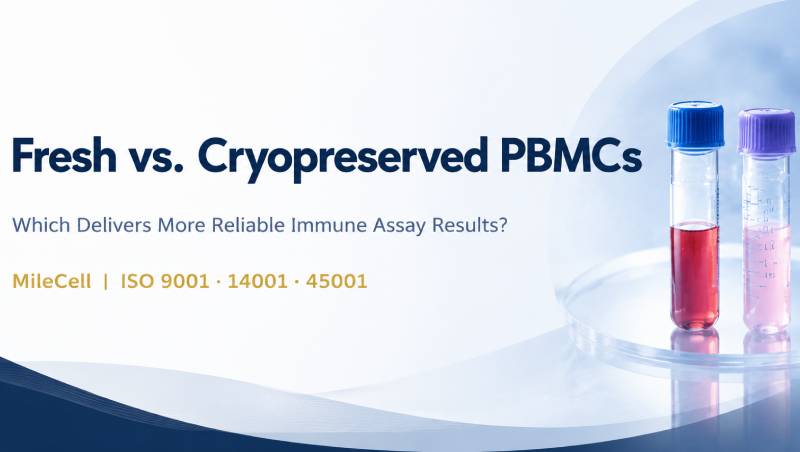Fresh vs. Cryopreserved PBMCs: Which Delivers More Reliable Immune Assay Results?