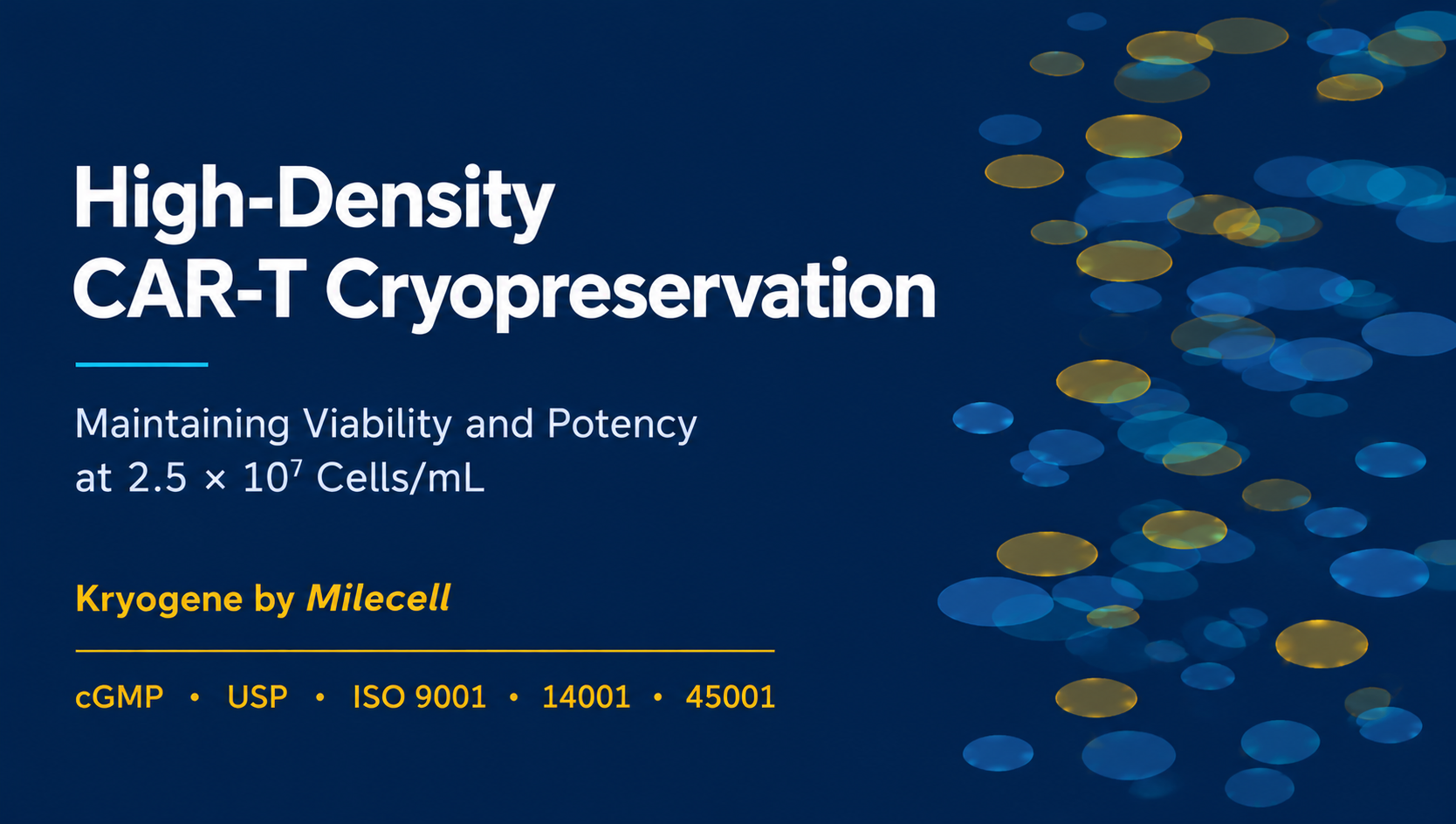 High-Density CAR-T Cryopreservation: How to Maintain Viability and Potency at 2.5 × 10^7 Cells/mL