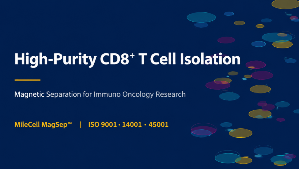 How to Isolate High-Purity CD8+ T Cells for Immuno-Oncology Research