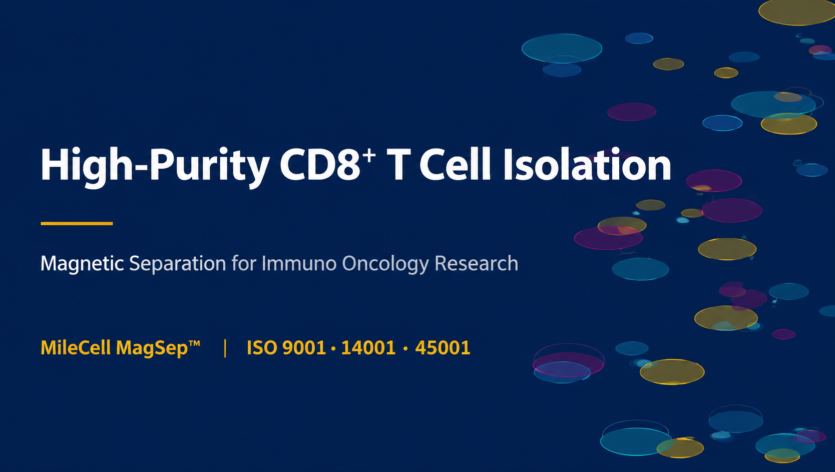 How to Isolate High-Purity CD8+ T Cells for Immuno-Oncology Research
