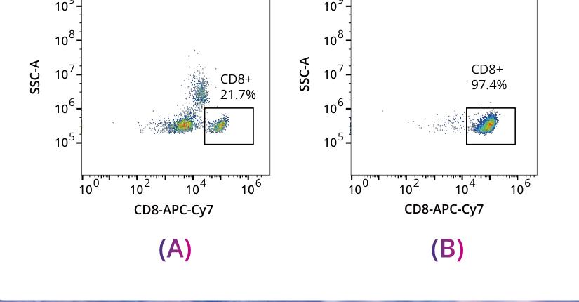 CD8 T cell negative selection untouched purity 21.7 to 97.4 percent
