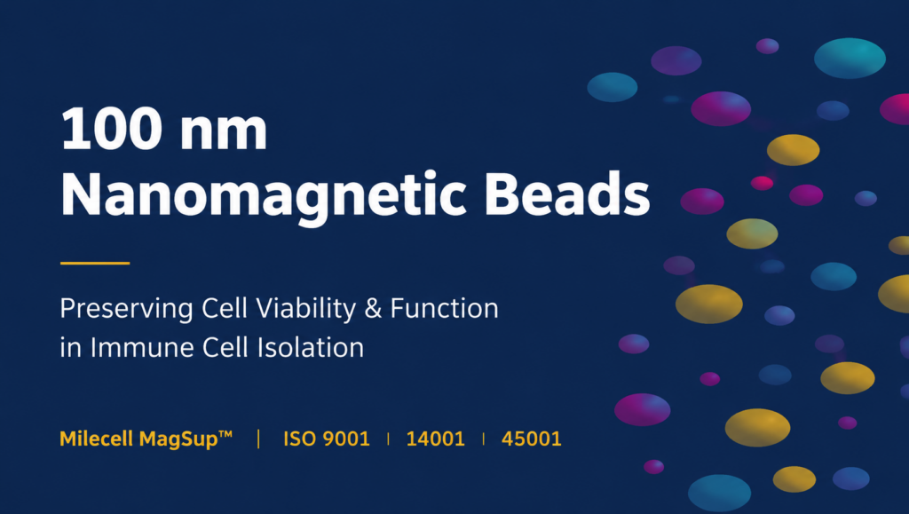 Why 100 nm Nanomagnetic Beads Preserve Cell Viability and Function During Immune Cell Isolation