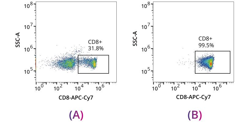 CD8 T cell purity before and after MagSep® nanomagnetic bead selection