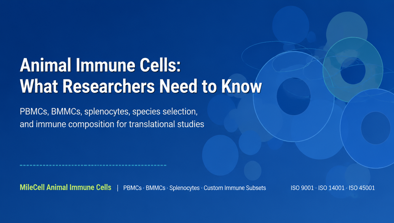 Animal Immune Cells: What Researchers Need to Know