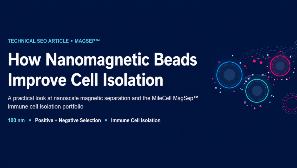 How Nanomagnetic Beads Improve Cell Isolation