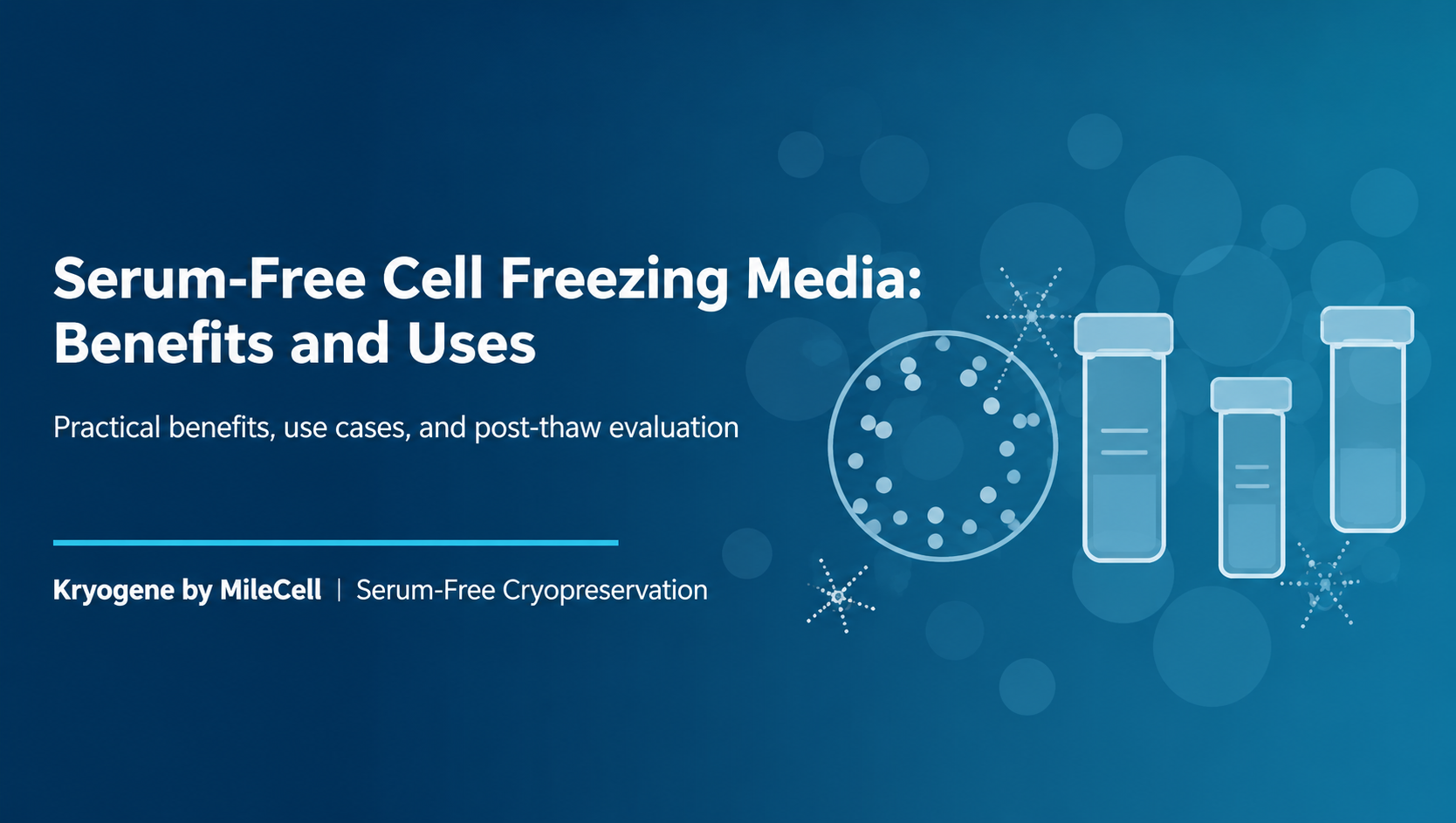 Serum-Free Cell Freezing Media: Benefits and Uses