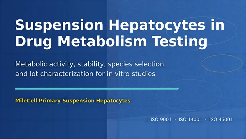 Suspension Hepatocytes in Drug Metabolism Testing