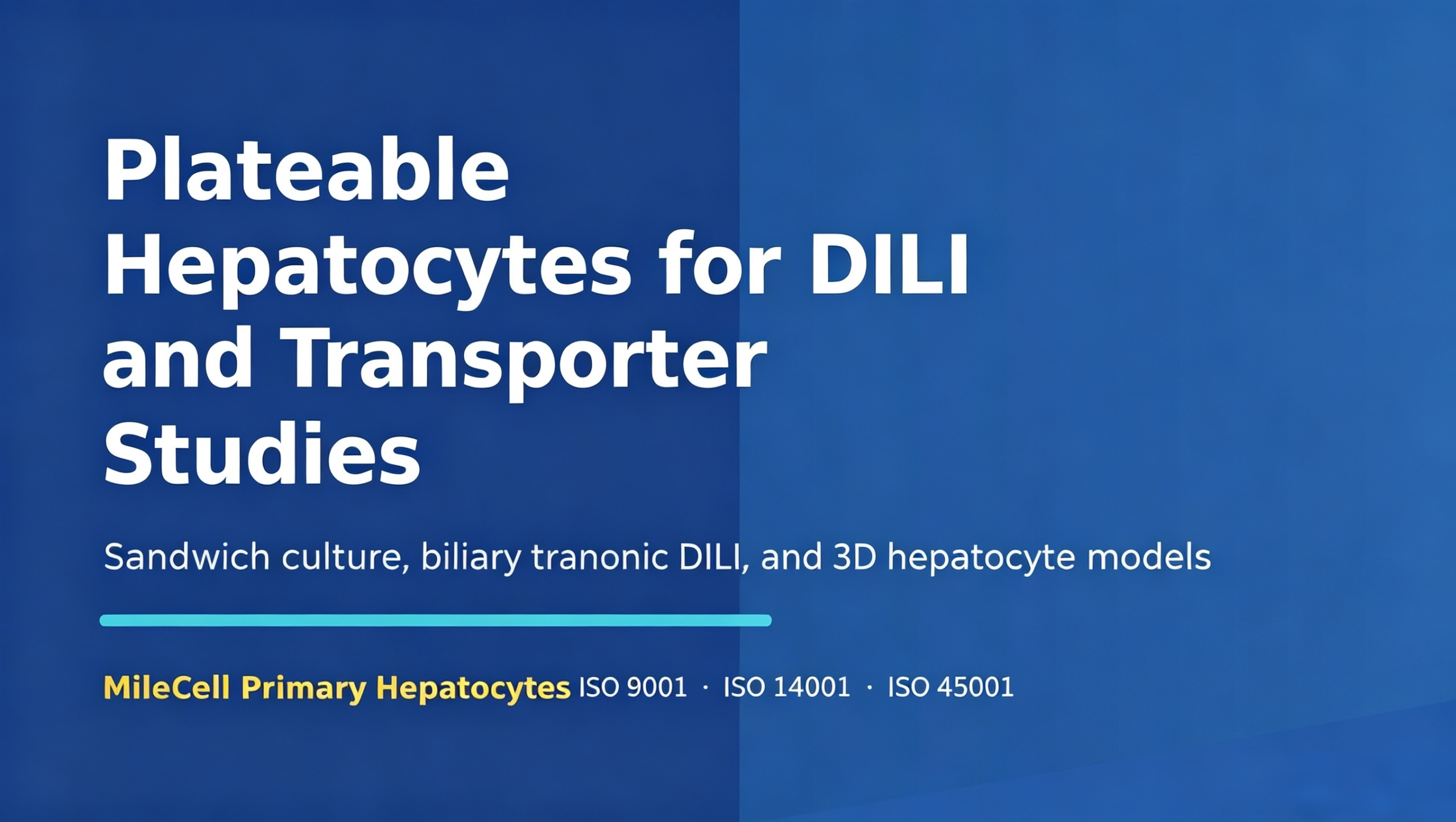 Plateable Hepatocytes for DILI and Transporter Studies