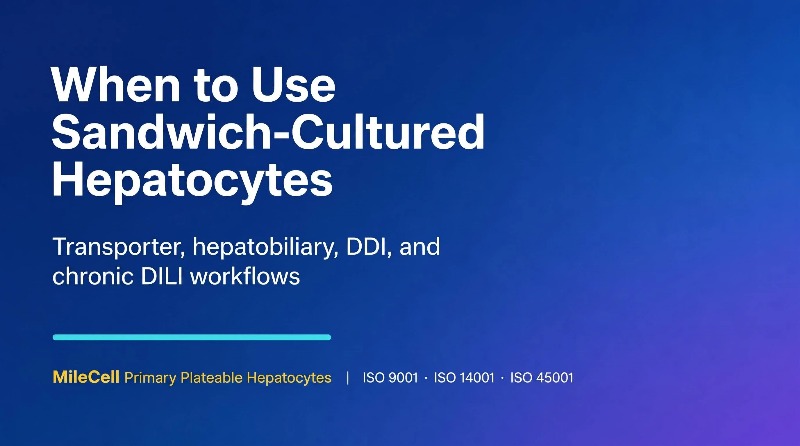 When to Use Sandwich-Cultured Hepatocytes
